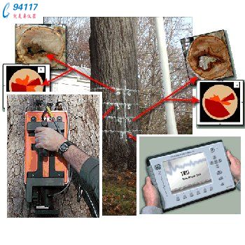 TREE RADAR INC TRUɼ̽y_ϵy(tng)