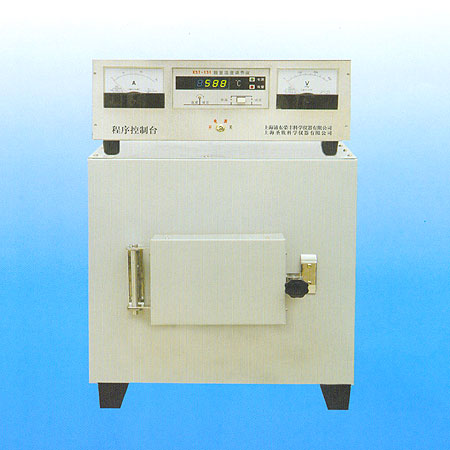 ʥ ʽ늠tSX2-8-10