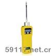 PGM-7600MiniRAE 2000VOC檢測儀