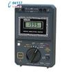 DG251數(shù)字式電動(dòng)兆歐表