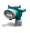 GD-2000L-HF-E-C氟化氫氣體報警儀