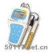 EC-PCWP300電導(dǎo)率計(jì)計(jì)
