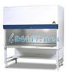 Airstream®D型二級(jí)生物安全柜  AC2-4D1