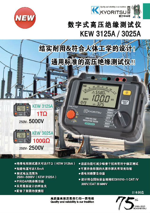3125A絕緣電阻測(cè)試儀