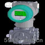 V10FT多參數(shù)流量變送器
