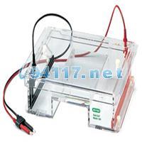 170-4504水平電泳槽Sub-Cell Model 192 Cell（ 25 x 10 cm tray）