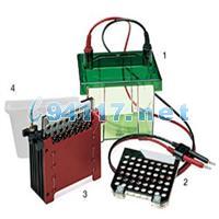 170-3930小型Trans-Blot轉(zhuǎn)印槽Mini Trans-Blot Electrophoretic Transfer Cell